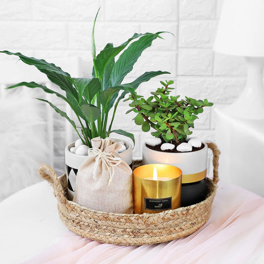 Heavenly Plant Wicker Basket Hamper