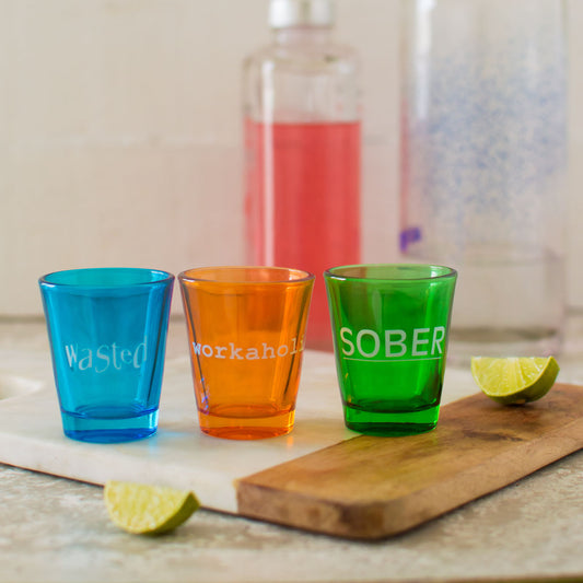 Shot Glasses - Set of 3 (Wasted/Sober/Workaholic)