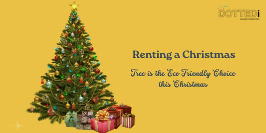 Renting a Christmas Tree is the Eco Friendly choice this Christmas