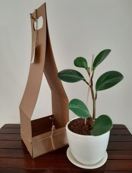 Pick me up Gift Combo