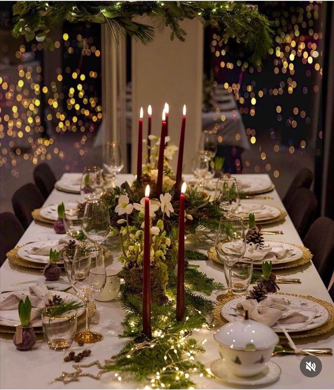 Table Rows Styling Table Styling