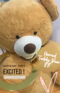 Teddy Bear Surprise