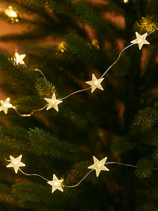 The Nut Cracker Gift Hamper