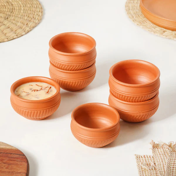 Terricota Dinner Plates Set rentals