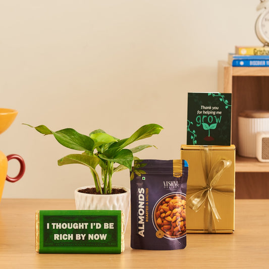Plant on me Gift Hamper