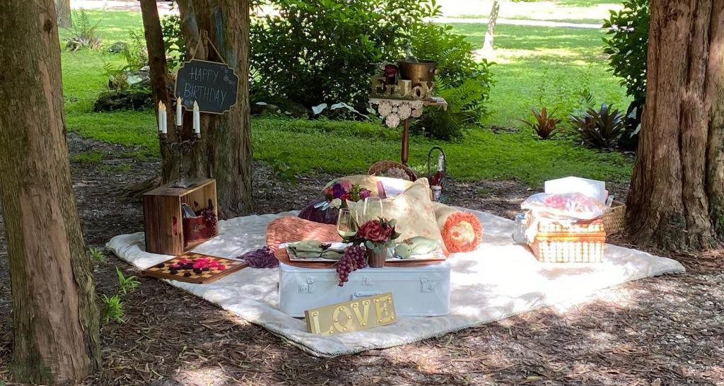 Book Romantic Picnic Setup For Two In Bangalore From Dottedi book-romantic-picnic-setup-for-two-in-bangalore-from-dottedi